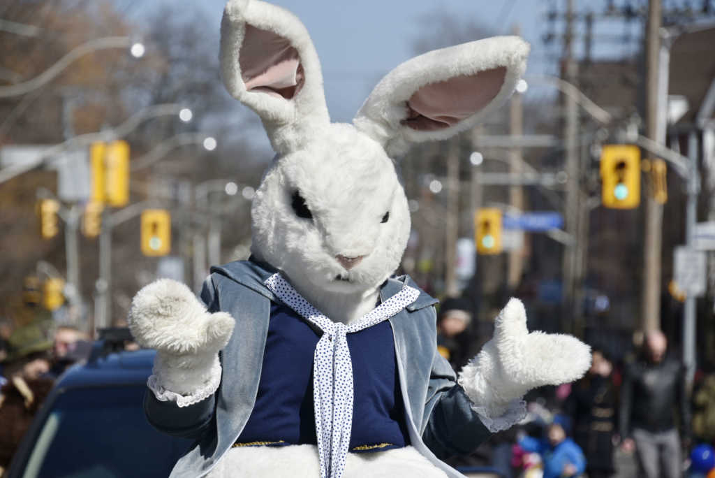 TORONTO, ONTARIO, CANADA - 2016/03/27: Easter Bunny during the Toronto Beaches Lion's Club Easter Parade a tradition that arrives to 50 year anniversary this year. (Photo by Roberto Machado Noa/LightRocket via Getty Images)