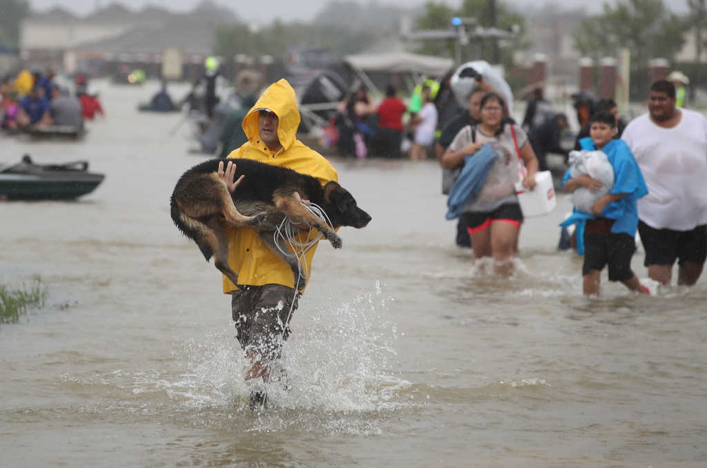 Photo by Joe Raedle/Getty Images