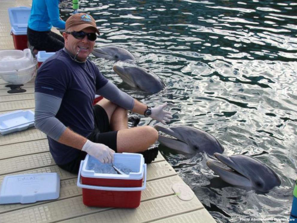 Photo: Dolphin Care