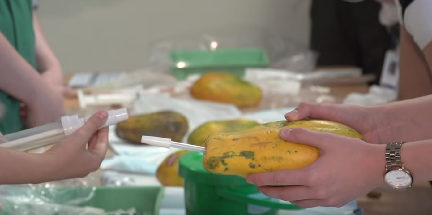 ‘Even More Satisfying… When It’s Real’ Sickening NYC Teaches