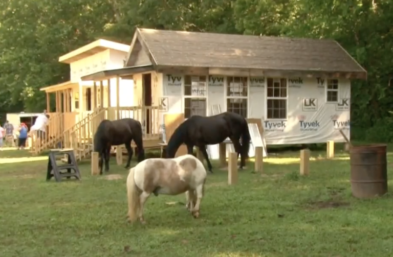 Kentucky Church Building Tiny Houses to Help Small Town’s Homeless Population Faithwire