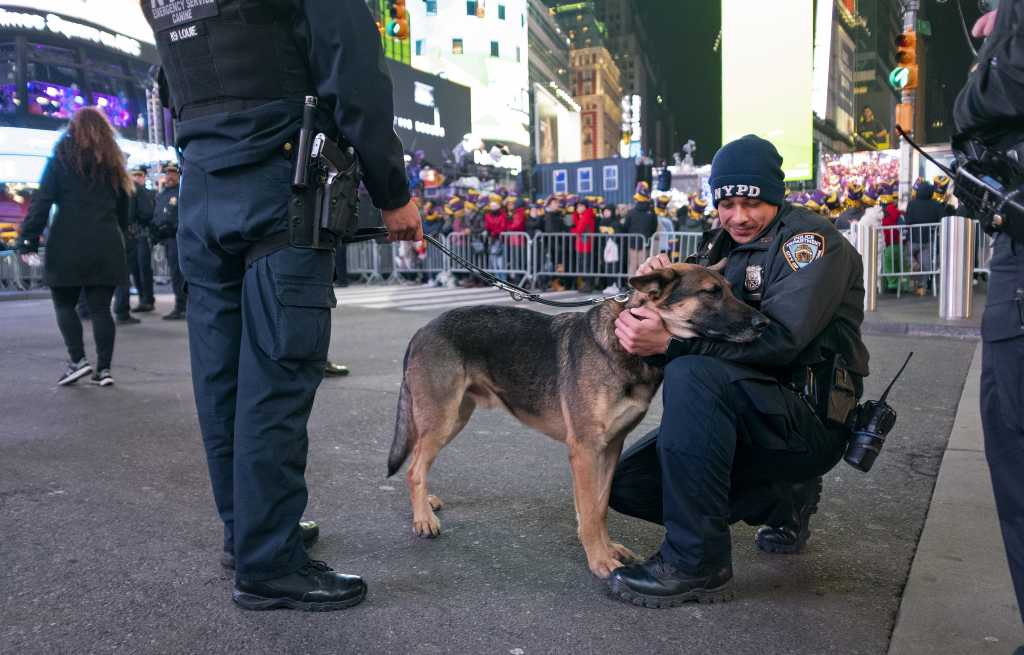 AP Photo/Craig Ruttle