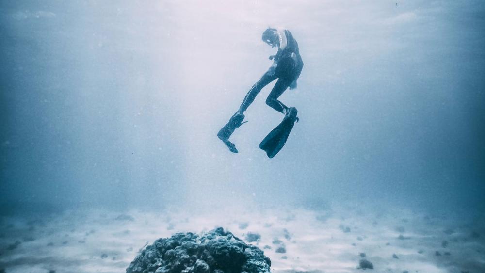Photo by Geran de Klerk/Unsplash